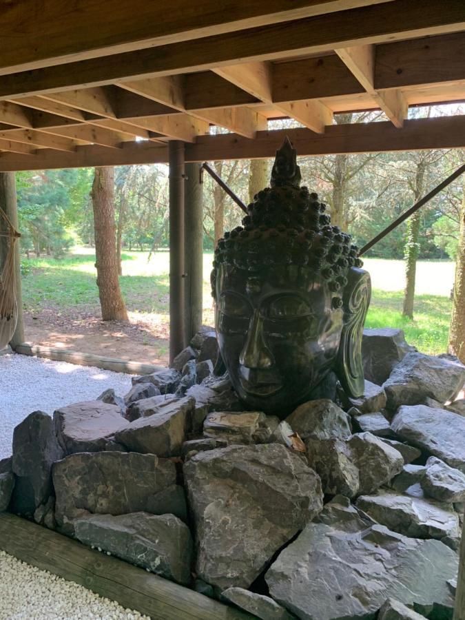 Gite Pont-A-Mousson, La Pepiniere Pagode Asiatique Eksteriør billede